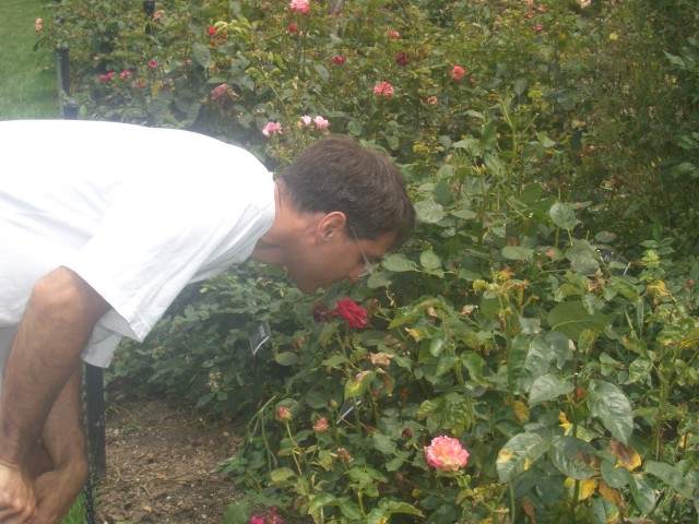 Stop and smell the roses