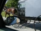 Amish Country