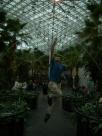 Crystal Gardens