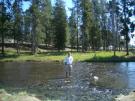 I would tax anyone who stands in water