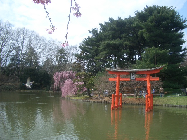 Japanese Garden