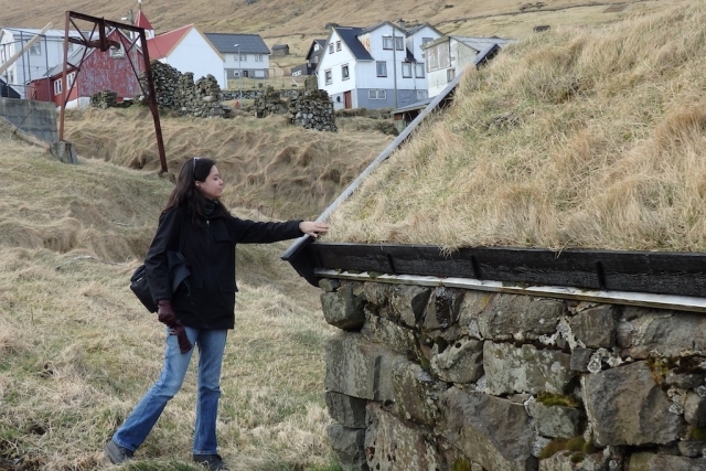 That's real grass growing on the roof