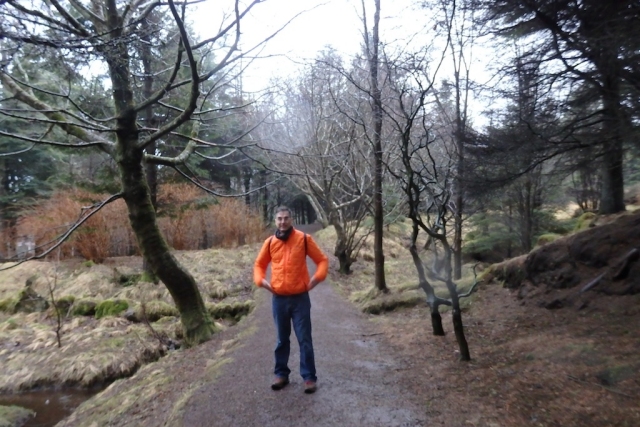 Viðarlundin Park in Tórshavn