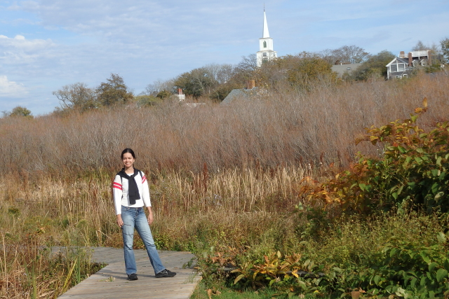 Lily Pond Park, Nantucket, MA