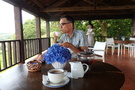 Porto Formoso tea plantation