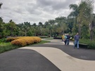 Calçadão