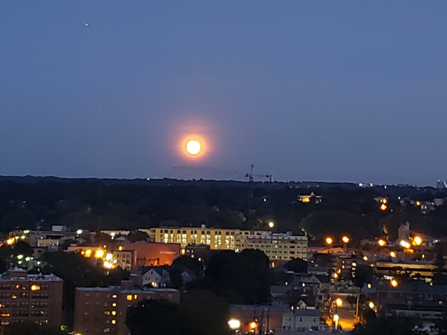 Harvest Moon 