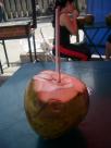 A coconut